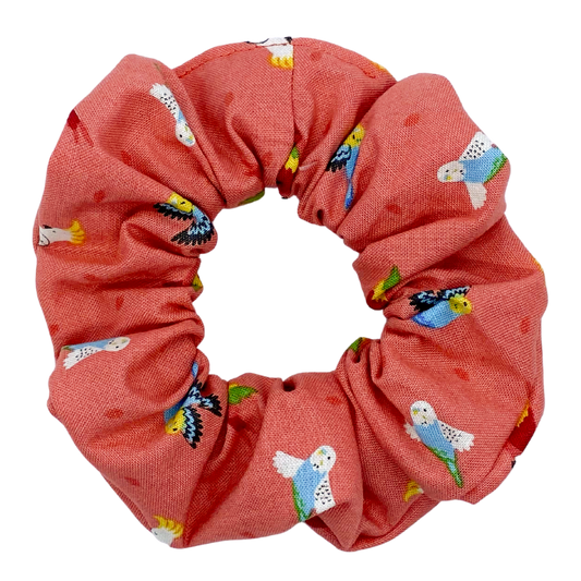 Birds on Tropical Coral